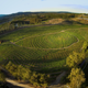 Image for article titled The Biggest Little Farm is a simplified, PR-friendly look at an agricultural triumph